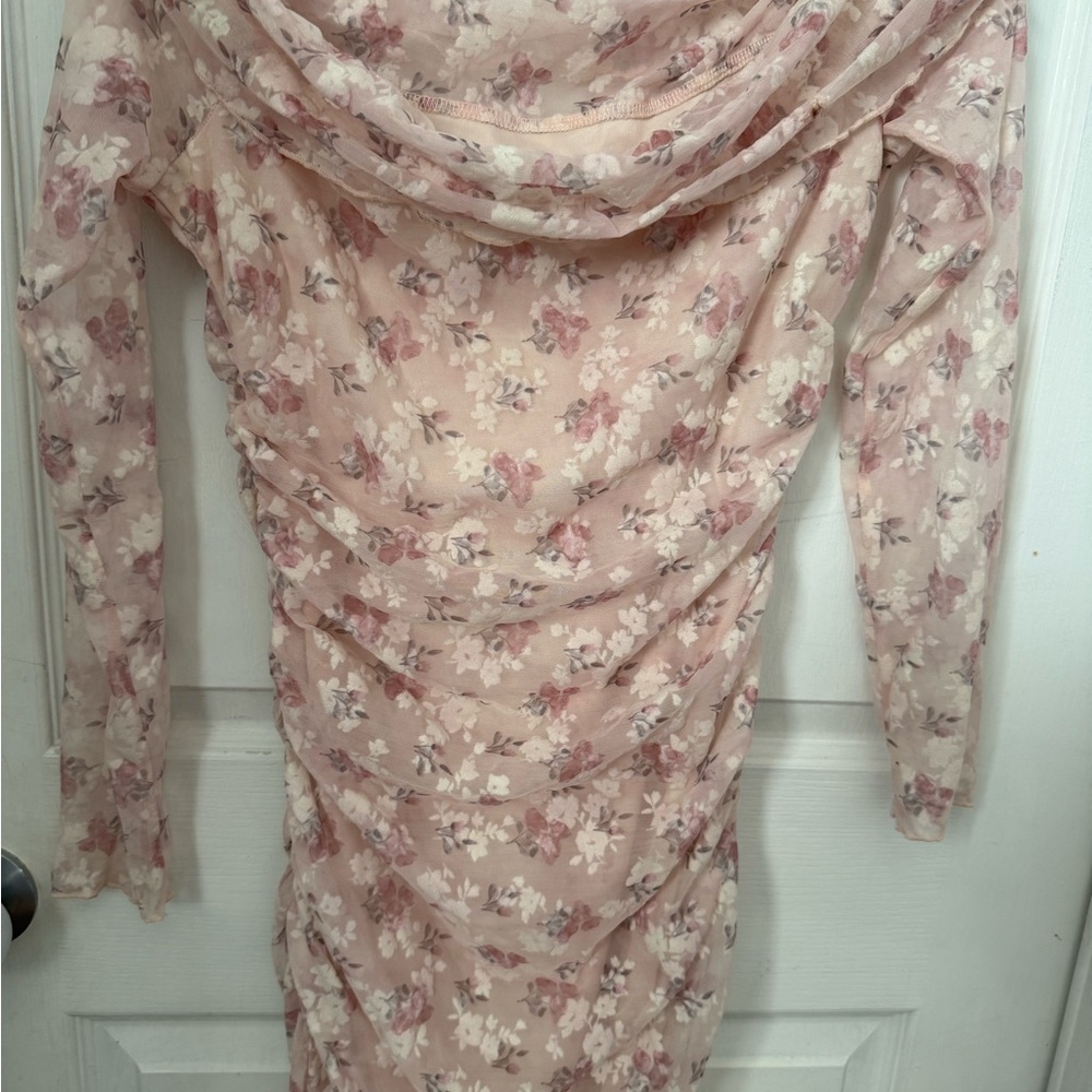 Windsor Blush Floral Mini Dress